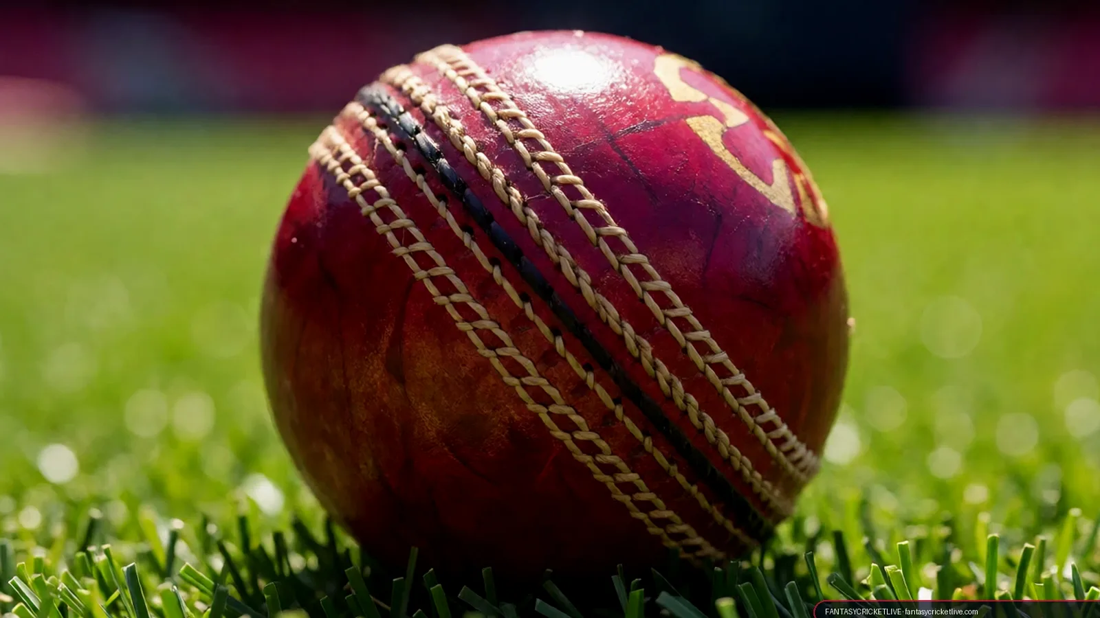Fantasycricketlive fantasy cricket live fantasy cricket stadium